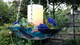 Blue Birdbath or Candle Holder (2)?