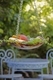 Birdbath or Fruit Display?