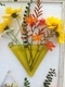 Yellow Transparent